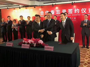 特斯拉上海超級工廠落地，年產50萬輛開啟中國新能源汽車新篇章